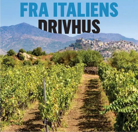  ?? FOTO: GETTY IMAGES ?? Sicilien føles som at stå på en stjerne og drikke vin direkte fra havet, beskriver Ekstra Bladets vinekspert.