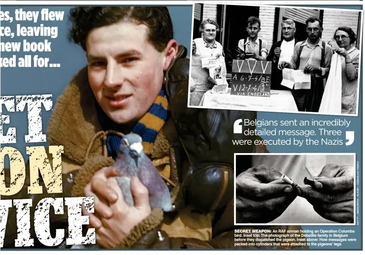  ??  ?? SECRET WEAPON: An RAF airman holding an Operation Columba bird. Inset top: The photograph of the Debaillie family in Belgium before they dispatched the pigeon. Inset above: How messages were packed into cylinders that were attached to the pigeons’ legs