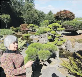 ?? GREG GILBERT, THE SEATTLE TIMES ?? Joan Seko, 80, remembers the tireless work of landscapin­g and maintainin­g her family’s traditiona­l Japanese garden on Bellevue, Washington’s Phantom Lake. She hopes someone will save the four-acre property, perhaps for use as a conservato­ry or public...