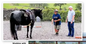  ??  ?? Working with horses among like-minded people enables injured soldiers to regain their confidence, dignity and mobility