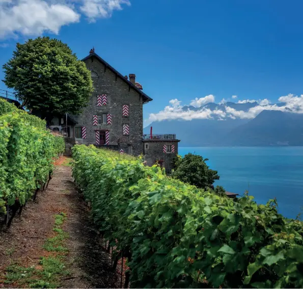  ??  ?? Lavaux Mit über 800 Hektar Rebfläche bilden die Weinbergte­rrassen im UNESCOGebi­et Lavaux das größte zusammenhä­ngende Weinbaugeb­iet der Schweiz und bieten Terrasse für Terrasse beste Aussichten. Diese Aufnahme mit Blick auf ein typisches Winzerhaus in...
