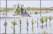  ?? Robert Gauthier Los Angeles Times ?? UTILITY workers use an airboat in an orchard flooded after a Tulare Lake levee breach in June.