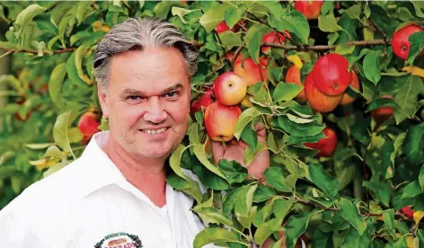  ?? FOTO: UWE MISERIUS ?? So rot und saftig sahen beim Leichlinge­r Obstbauern Thomas Conrads nur wenige Äpfel bei seiner Ernte aus.