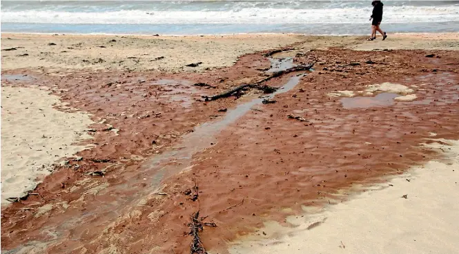  ?? KASHKA TUNSTALL ?? Beach walkers and their pets track through the brown sludgy mess at
Takapuna Beach.