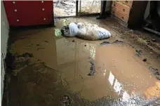  ??  ?? Water pools on the wooden floors.