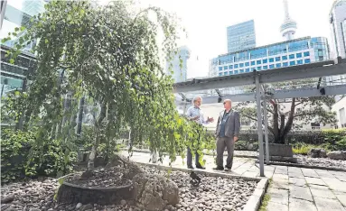  ?? RICHARD LAUTENS/TORONTO STAR ?? The vertical-forest building at Davenport Rd. and Designers Walk, left, is being developed by architect Brian Brisbin, who built one of the city’s first green roofs.