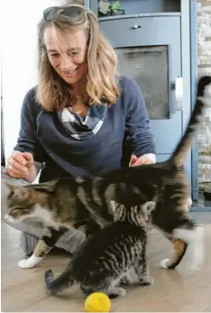  ?? Fotos: Philipp Wehrmann ?? Die 56-jährige Claudia Vogele hat ein Faible für Katzen. Auf dem Bild ist die Mutterkatz­e Roxy und eines ihrer Jungtiere zu sehen.