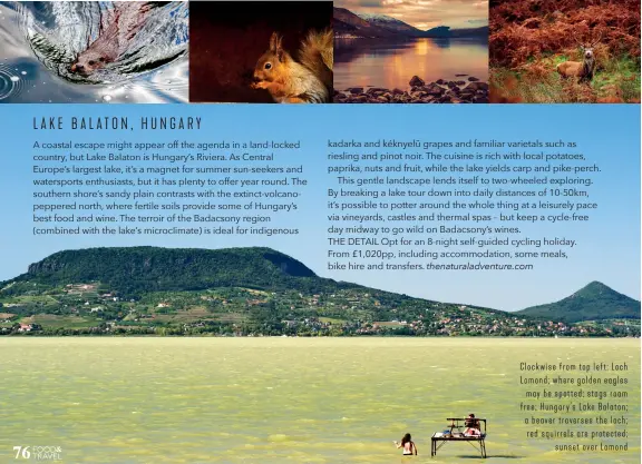  ??  ?? Clockwise from top left: Loch Lomond; where golden eagles may be spotted; stags roam free; Hungary’s Lake Balaton; a beaver traverses the loch; red squirrels are protected; sunset over Lomond
