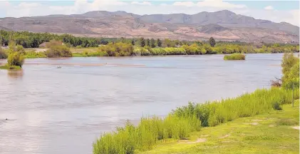  ?? ANDRES LEIGHTON/FOR THE JOURNAL ?? The Rio Grande near Las Cruces in August 2016. More than 120 miles of the river are projected to be dry before the summer ends.