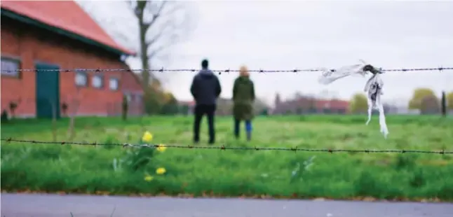  ?? Vrt ?? In drie vierde van de gevallen gaat het om broers die zussen geweld aandoen.