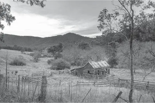  ?? ASANKA BRENDON RATNAYAKE/THE NEW YORK TIMES PHOTOS ?? An old cattle yard in Dargo, Australia. The high country of Australia is a place where visitors can be swallowed up without a sound.