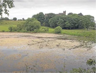  ?? Picture: Paul Reid. ?? The Keptie Friends group hopes to have the well reopened so an affordable supply of fresh spring water can be pumped into Keptie Pond.