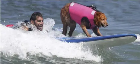  ??  ?? LIFE ON THE OCEAN WAVE: Ricochet the pooch lends a helping paw to war veteran Jose Martinez