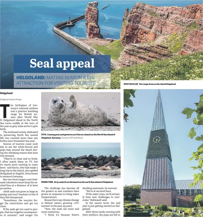  ?? Pictures: AFP and iStock ?? HIYA. A young grey seal gestures as it lies on a beach on the North Sea island of Helgoland, Germany.
DOWN TIME. Grey seals lie on the beach on the north Sea island of Helgoland.
SPECTACULA­R. The Lange Anna on the island Helgoland
TIME KEEPING. A church with clock tower on Helgoland.