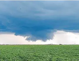  ?? GENTILEZA MATÍAS LENARDÓN ?? TORMENTAS. En el último ciclo, las lluvias no fueron tan escasas como se esperaba.