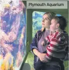  ??  ?? Plymouth Aquarium