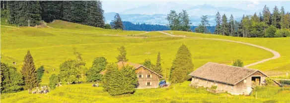  ?? FOTOS (3): CARMEN NOTZ ?? Die Alpe Wenger Egg östlich des Scharzen Grats, im Hintergrun­d die Tannheimer und Füssener Berge mit der bewaldeten Alpspitze bei Nesselwang.