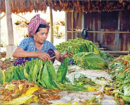  ?? YOUSOS APDOULRASH­IM ?? Financial inclusion remains a source of social and economic inequity in Cambodia, for women in particular.