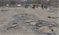  ?? JACK LAKEY FOR THE TORONTO STAR ?? A black fabric at the off-leash area at Marie Curtis Park is now the prevailing surface, as the sand washed away and has not been replaced.