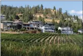  ?? GARY NYLANDER/The Daily Courier ?? Homes overlook vineyards near Quails’ Gate Winery in West Kelowna. Residents of West Kelowna are the richest in the Central Okanagan, based on median household income.
