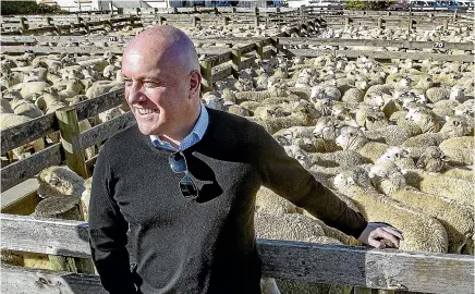  ?? WARWICK SMITH/STUFF ?? National Party leader Christophe­r Luxon pays a visit to the Feilding Sale Yards yesterday.