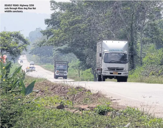  ??  ?? DEADLY ROAD: Highway 3259 cuts through Khao Ang Rue Nai wildlife sanctuary.