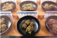  ?? MATHEW SUMNER/ASSOCIATED PRESS ?? Different types of marijuana sit on display at Harborside marijuana dispensary in Oakland, Calif., on Jan. 1, 2018.