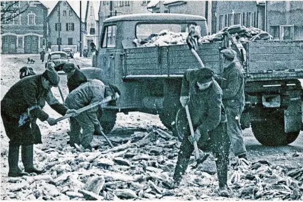  ?? Foto: Archiv ?? Februar 1963: Eine Kolonne des städtische­n Tiefbauamt­s befreit den Heidenheim­er Bahnhofpla­tz mit Pickeln und Schaufeln von einer dicken Eisschicht.