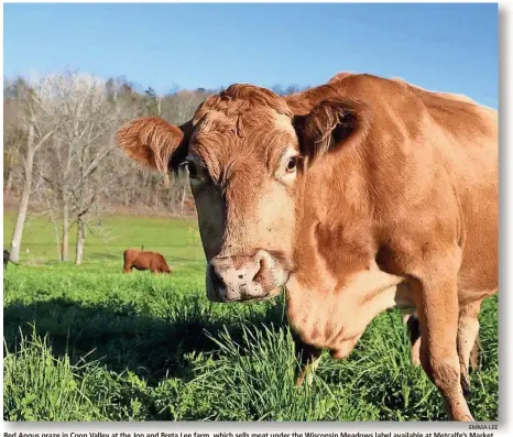  ?? EMMA LEE ?? Red Angus graze in Coon Valley at the Jon and Breta Lee farm, which sells meat under the Wisconsin Meadows label available at Metcalfe’s Market.