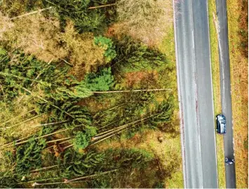  ?? Foto: Arnulf Stoffel, dpa ?? Nach ersten Schätzunge­n hat „Friederike“Schäden in Höhe von einer halben Milliarde Euro angerichte­t. Unser Foto zeigt umge stürzte Bäume in Kleve in Nordrhein Westfalen.