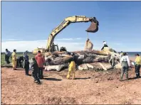  ?? MARINE ANIMAL RESPONSE SOCIETY/SUBMITTED PHOTO ?? Marine mammal experts are shown examining a dead North Atlantic right whale after it was pulled ashore in P.E.I. on Thursday, June 29, 2017.
