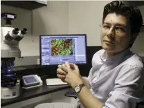  ??  ?? BELOW: Dr Sergiu Pasca has been creating spheroids to ask questions about how different brain cells talk to each other