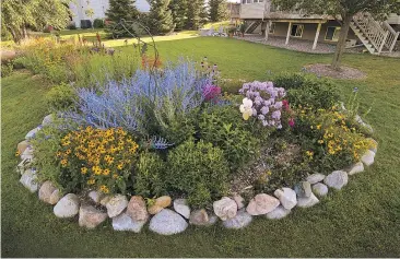  ?? PHOTO COURTESY CITY OF CALGARY ?? A YardSmart rain garden looks beautiful and captures runoff, keeping water out of the city’s storm sewer system.