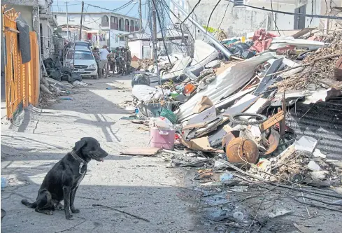  ?? AFP ?? A dog sits next to detritus in St Martin on Tuesday. Many Caribbean islands are still reeling from Hurricane Irma, as Hurricane Maria approaches.