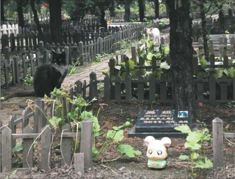  ?? PHOTOS BY XU LIN / CHINA DAILY ?? Fewer than 200 pet animals are buried at Bo’ai Companion Animal Burial Service Center in Beijing.