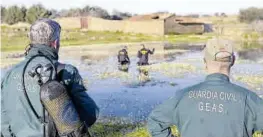  ?? ?? Especialis­tas del equipo GEAS de la Guardia Civil en una charca.