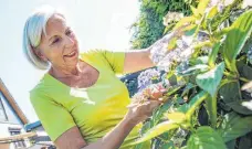  ?? FOTO: CHRISTIN KLOSE/DPA ?? Alles sprießt, vieles blüht und duftet: Der Höhepunkt des Gartenjahr­es ist in diesen Tagen erreicht.