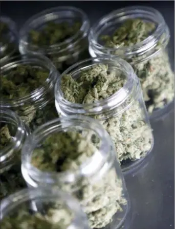  ?? JULIO CORTEZ — THE ASSOCIATED PRESS ?? In this Friday photo, marijuana buds are seen in prescripti­on bottles after being sorted at Compassion­ate Care Foundation’s medical marijuana dispensary in Egg Harbor Township, N.J.