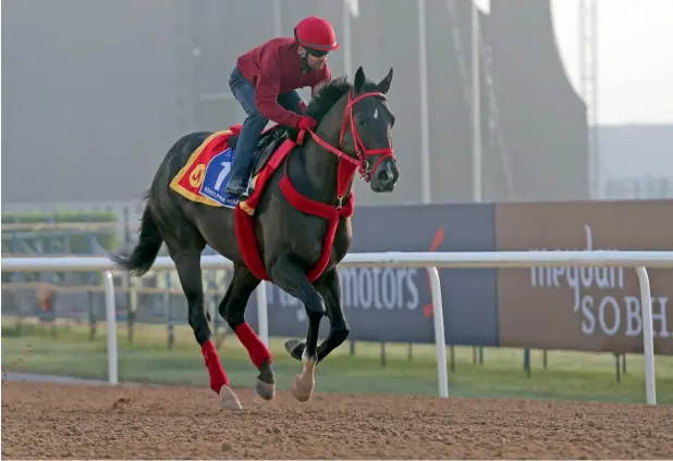  ?? Photo by Dhes Handumon ?? Jorge Navarro’s horse, Sharp Azteca warms up at the Meydan Racetrack in Dubai on Wednesday. —