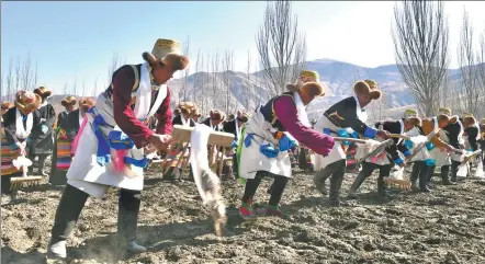  ?? TENZIN LHAZES / FOR CHINA DAILY ?? Tibetan farmers sow seeds after a tractor has plowed the land in Nedong district of Lhokha, Xizang autonomous region, on Saturday during a spring farming ceremony.