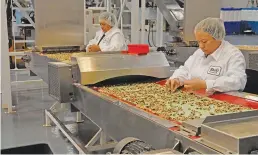  ?? Jake Abbott/appeal-democrat ?? Employees at Shoei Foods USA sort through walnuts at the company’s facility in Olivehurst in 2017.