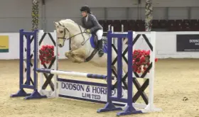  ??  ?? Jodi Romanello and Goodun Pale Brook Starshine contribute to Clydach’s victory in the senior showjumpin­g team competitio­n