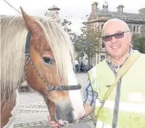  ??  ?? Special guest Crieff’s favourite horse, Murphy, with handler Hendy