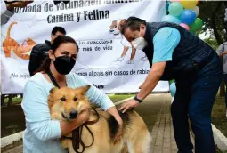  ?? FOTO: ESPECIAL ?? l
RESPONSABI­LIDAD. La vacuna antirrabic­a garantiza una protección en la salud de los 'amigos peludos'.