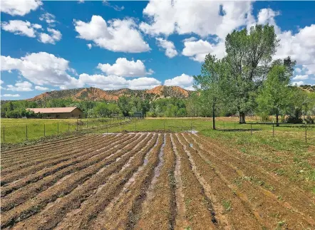  ?? COURTESY PHOTO ?? Tsimayó Hot Sauce owner Dennis Garcia owns a chile farm in Chimayó.