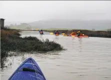  ?? Jeff Kellogg ?? Paddling into Petaluma Marsh connects you to the Napa-Sonoma Marsh Wildlife Area, 50,000 acres of tidal wetlands.