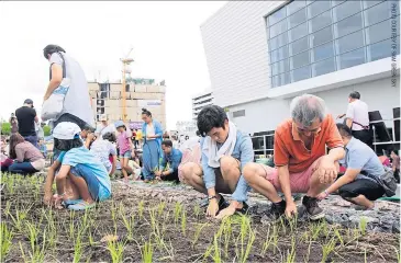  ??  ?? ABOVE AND LEFT The city’s largest rooftop farm is open to the public every Wednesday and Saturday, with workshops every third Saturday of the month.