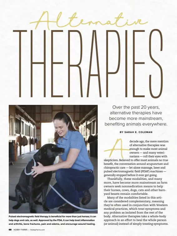  ??  ?? Pulsed electromag­netic field therapy is beneficial for more than just horses; it can help dogs and cats, as well. Approved by the FDA, it can help treat inflammati­on and arthritis, bone fractures, pain and edema, and encourage wound healing.