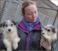  ??  ?? Fiona Kynes and two of the dogs from Wicklow Animal Welfare.