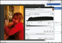  ??  ?? In this Gimp dialog you can adjust colour levels with high precision, and even pick a white/black/grey point to auto-fix white balance.